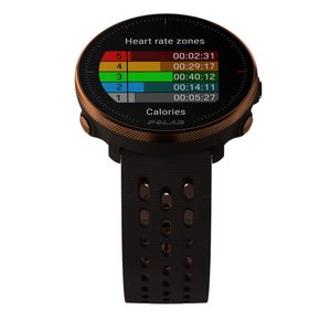 Monitor Cardíaco de Pulso com GPS Garmin Forerunner 245 Music - Fátima  Esportes
