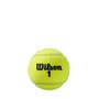 Bola de Tênis Wilson Roland Garros All Court
