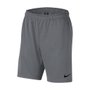 Shorts Nike Mesh 5.0