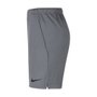 Shorts Nike Mesh 5.0